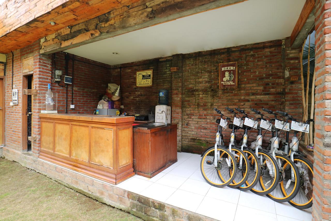 Pondok Jempiring Kuta Lombok Kültér fotó